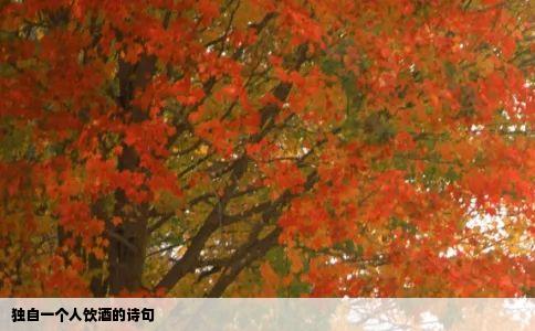 独自一个人饮酒的诗句