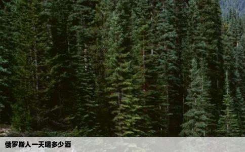 俄罗斯人一天喝多少酒