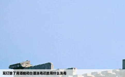 耳钉除了用酒精和白酒消毒还能用什么消毒