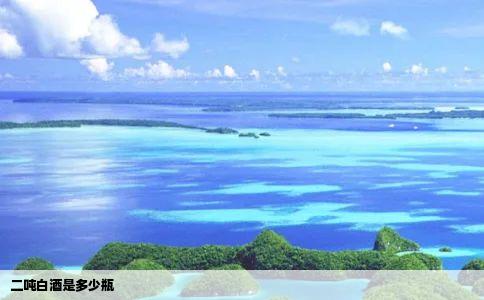 二吨白酒是多少瓶