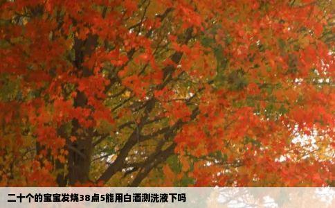 二十个的宝宝发烧38点5能用白酒测洗液下吗