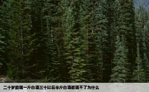 二十岁能喝一斤白酒三十以后半斤白酒都喝不了为什么