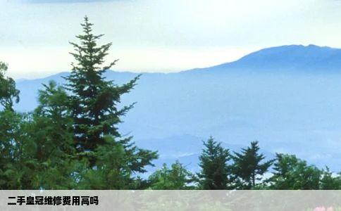 二手皇冠维修费用高吗
