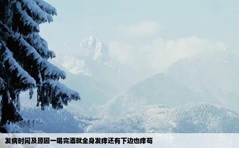 发病时间及原因一喝完酒就全身发痒还有下边也痒苟