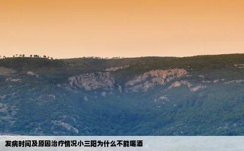 发病时间及原因治疗情况小三阳为什么不能喝酒