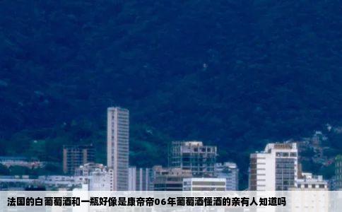 法国的白葡萄酒和一瓶好像是康帝帝06年葡萄酒懂酒的亲有人知道吗