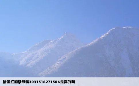 法国红酒条形码3031516271506是真的吗