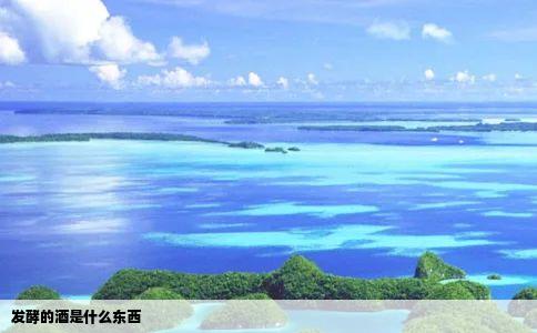 发酵的酒是什么东西