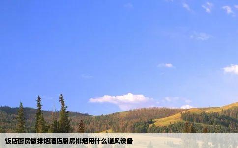 饭店厨房做排烟酒店厨房排烟用什么通风设备