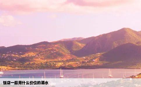 饭店一般用什么价位的酒水