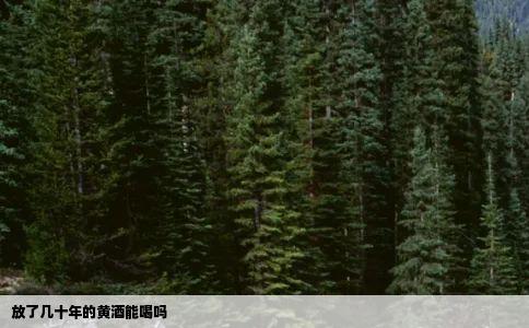 放了几十年的黄酒能喝吗