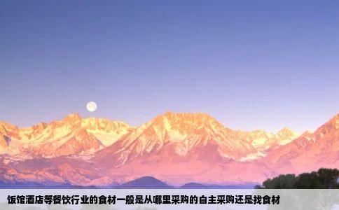 饭馆酒店等餐饮行业的食材一般是从哪里采购的自主采购还是找食材