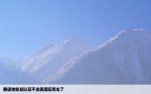 翻译他答应以后不会再酒后驾车了