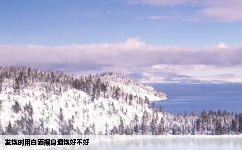 发烧时用白酒擦身退烧好不好