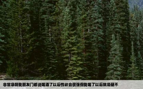 非常急啊我朋友门都说喝酒了以后性欲会很强但我喝了以后就是硬不