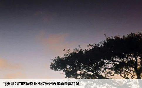 飞天茅台口感居然比不过贵州五星酒是真的吗