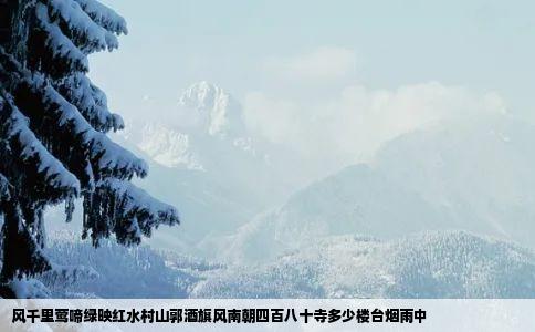 风千里莺啼绿映红水村山郭酒旗风南朝四百八十寺多少楼台烟雨中