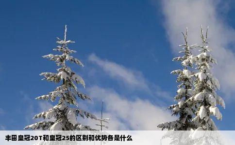 丰田皇冠20T和皇冠25的区别和优势各是什么