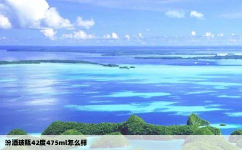 汾酒玻瓶42度475ml怎么样