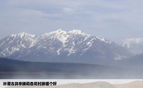 汾酒古井亭牌和杏花村牌哪个好