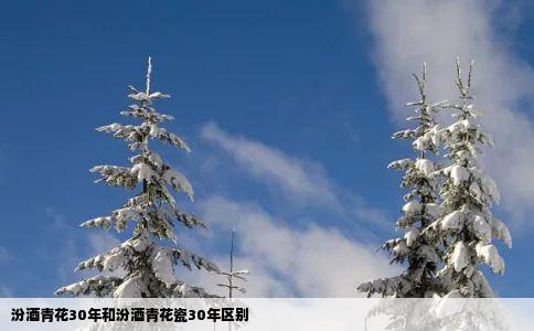 汾酒青花30年和汾酒青花瓷30年区别