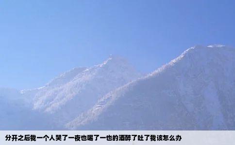 分开之后我一个人哭了一夜也喝了一也的酒醉了吐了我该怎么办