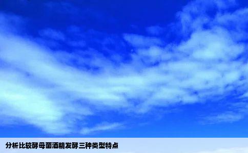 分析比较酵母菌酒精发酵三种类型特点