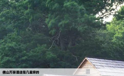 佛山万豪酒店是几星级的