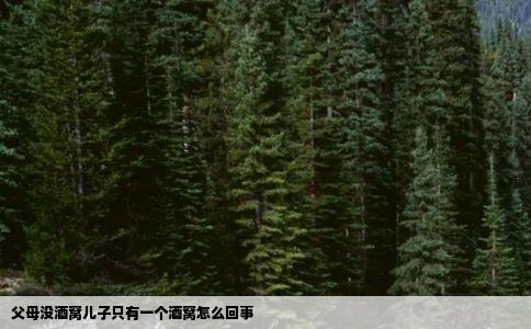 父母没酒窝儿子只有一个酒窝怎么回事