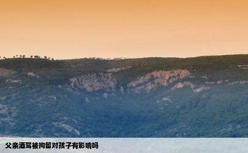 父亲酒驾被拘留对孩子有影响吗