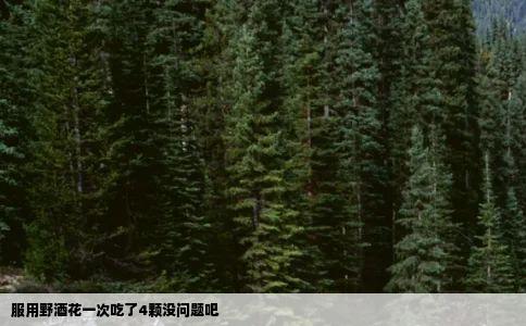 服用野酒花一次吃了4颗没问题吧