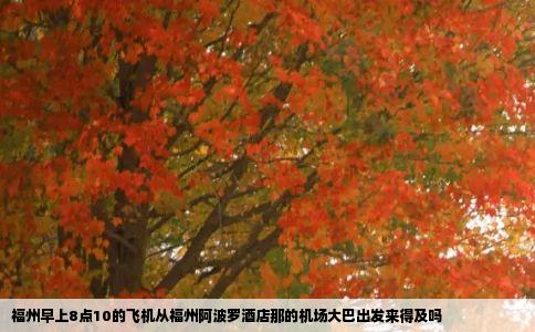 福州早上8点10的飞机从福州阿波罗酒店那的机场大巴出发来得及吗