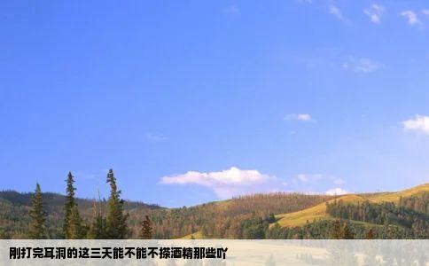 刚打完耳洞的这三天能不能不搽酒精那些吖