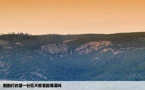 刚刚打的第一针狂犬疫苗能喝酒吗