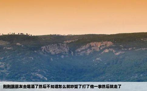 刚刚跟朋友去喝酒了然后不知道怎么就吵架了打了他一拳然后就走了