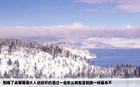 刚喝了点葡萄酒大人说挺好的酒过一会怎么就有尿刺激一样基本不