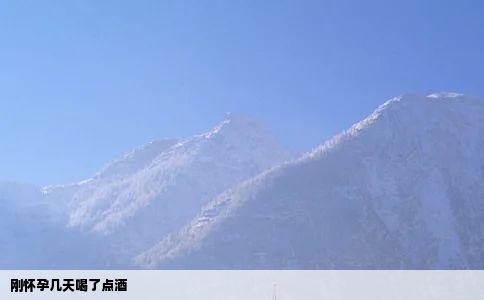 刚怀孕几天喝了点酒