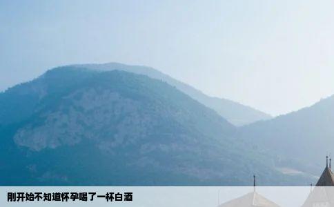 刚开始不知道怀孕喝了一杯白酒