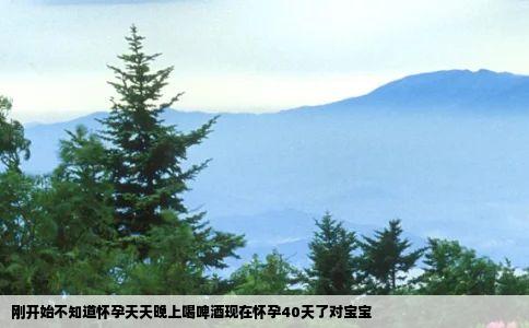 刚开始不知道怀孕天天晚上喝啤酒现在怀孕40天了对宝宝