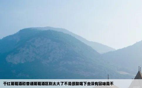 干红葡萄酒和普通葡萄酒区别太大了不是很酸喝下去没有回味是不
