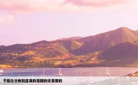 干邑白兰地到底真的是甜的还是苦的