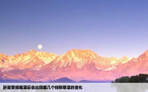 肝脏受损喝酒后会出现哪几个特别明显的变化