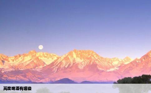 高度啤酒有哪些