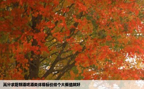 高分求阳朔酒吧酒类详细标价给个大概值就好