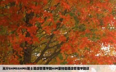 高分SHMSSHMS瑞士酒店管理学院HIM蒙特勒酒店管理学院这