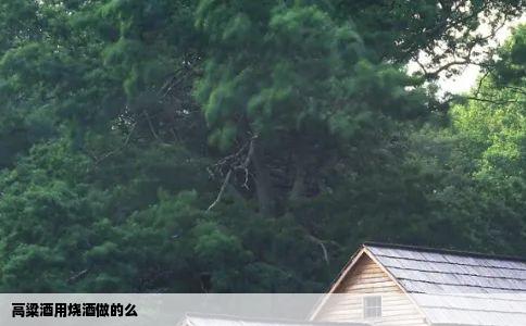 高粱酒用烧酒做的么