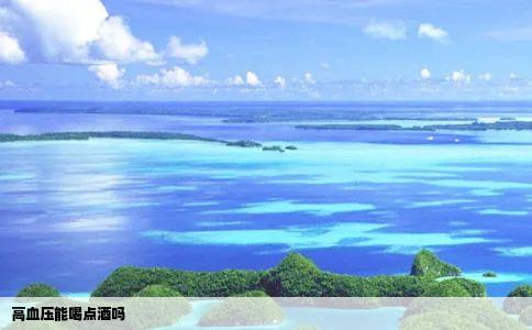 高血压能喝点酒吗