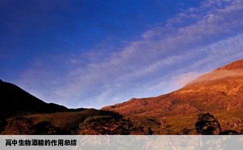 高中生物酒精的作用总结