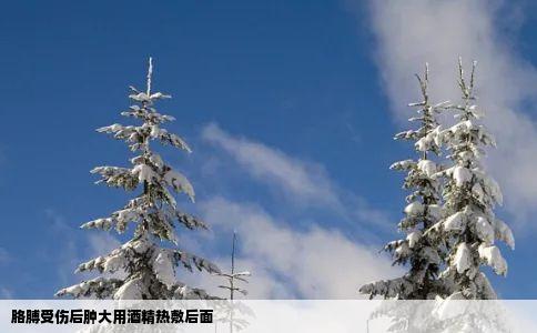 胳膊受伤后肿大用酒精热敷后面