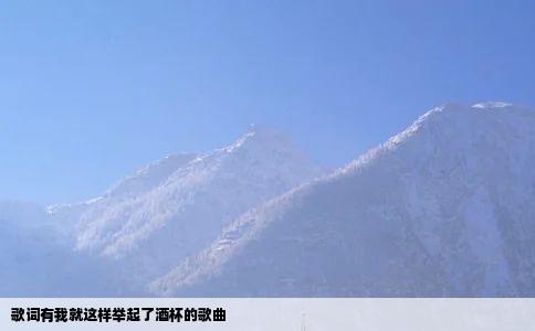 歌词有我就这样举起了酒杯的歌曲